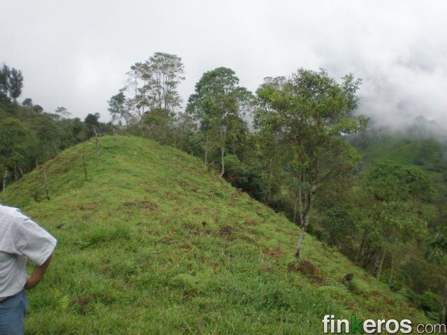 finca yerbabuena - Finca en La Vega, Cundinamarca